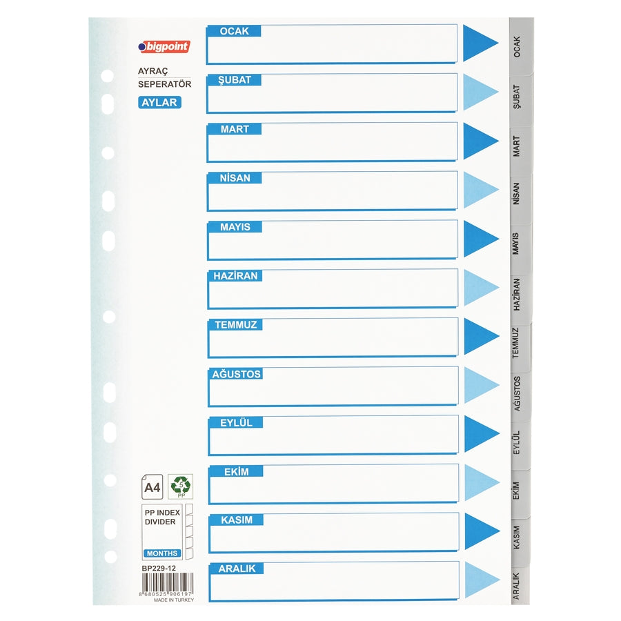Bigpoint Dosya Ayracı Seperatör 12'li Aylar